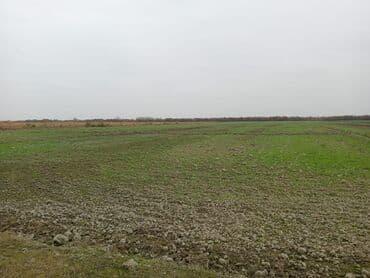 sarayda torpaq satışı: 750 sot, Kənd təsərrüfatı, Kupça (Çıxarış) — 3