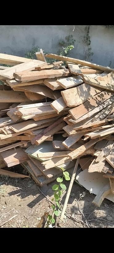 şabalıd ağacı: Taxta materialları – müxtəlif ölçülü şalban, dirək və lövhə qarışığı — 2