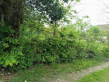 torpag: Tikinti — 3