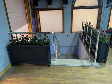 dekorativ otaq bitkiləri: Taxtalar ile ve, restoran, ofis, otel ve s. Məkanlarınızın müasir və — 3