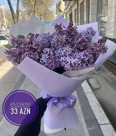 8 Mart üçün xüsusi gül kompozisiyası – şəffaf kvadrat qutuda qırmızı