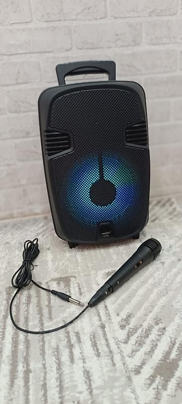 karaoke mikrofon: Portativ karaoke səsgücləndiricisi və mikrofon dəsti - Tək korpuslu — 2