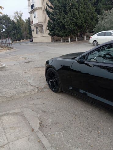 gəncə ozəl bağcalarda iş: Niqabliyam və iş axtarıram nə işi olur olsun öyrənib işləyə bilərəm — 1