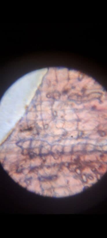 adidas zx flux qadın krossovkaları: ●1200x optik mikroskop ●2saat batareyası ilə işıqlandırma, 100x 400x — 7