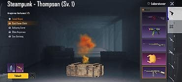 PUBG Mobile hesabı – yüksək səviyyəli kolleksiya və nadir laboratoriya — 7