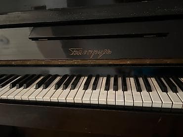 Piano, Belarus, Akustik, İşlənmiş, Ünvandan götürmə — 4