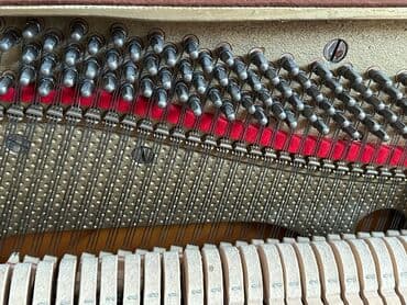 Fleytalar: Piano, Petrof, Akustik — 5