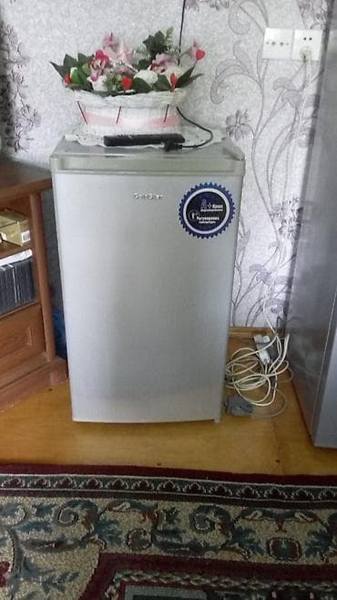 Mini Soyuducu Satılır, rəng - Gümüşü — 4