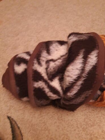 Yeni Pled, Ödənişli çatdırılma