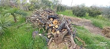 antique bisirme sobasi: Ocaq/soba üçün odun - Qalın gövdə və orta ölçülü budaqlardan — 2