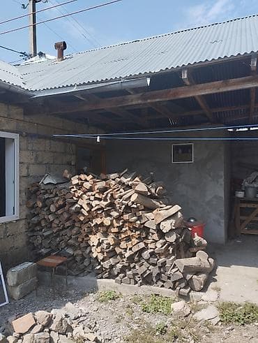 iran xurması ağacı: Ikisi biryerdə 250 manat real aliciya endirim olacaq — 4