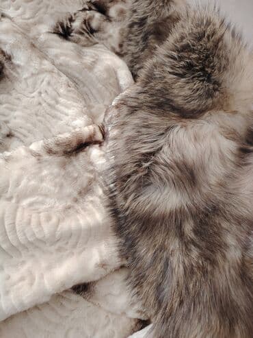 mazol üçün krem: İtalyan brendi Manzari-nin qısaldılmış mink (norka) kürkü. Vəziyyəti — 5