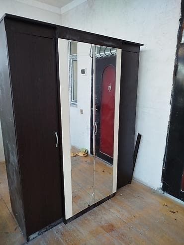 guzgu aləmi: 3 qapılı, Güzgülü, Qəhvəyi, Digər material, Açılan, Düz dolab — 1