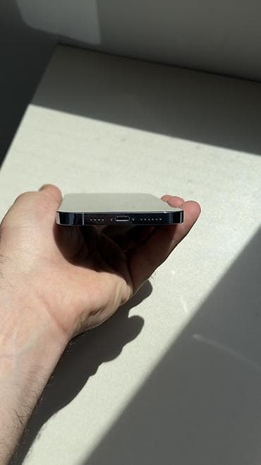 i̇phone 16e: IPhone 13 Pro Max, 1 TB, Sierra Blue, Simsiz şarj, Face ID — 3