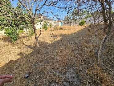 xoçəsən: 5 sot — 4