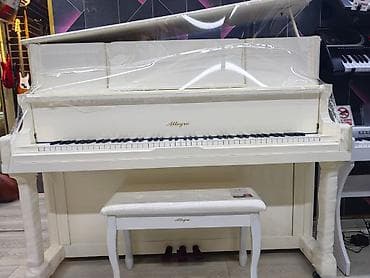 pianer: Piano, Akustik, Yeni, Ünvandan götürmə — 6