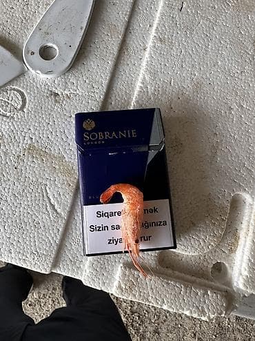 Digər heyvanlar: Çay krevetkası təmiz seçmə mal
Fərqli qiymətə yalnız topdan satış — 1