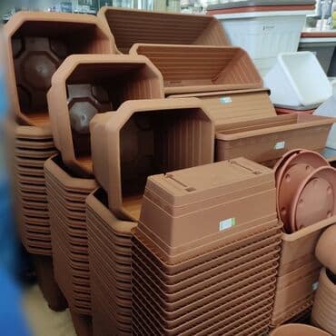 Digər bitkilər: Dibçək. Müxtəlif ölçü və modellər mövcuddur. Fərqli qiymətlərdədir — 14