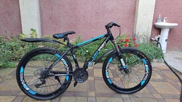 qalin tekerli velosiped: Velosibedin heç bir problemi yoxdur hər şeyi yerindədir bütün — 5