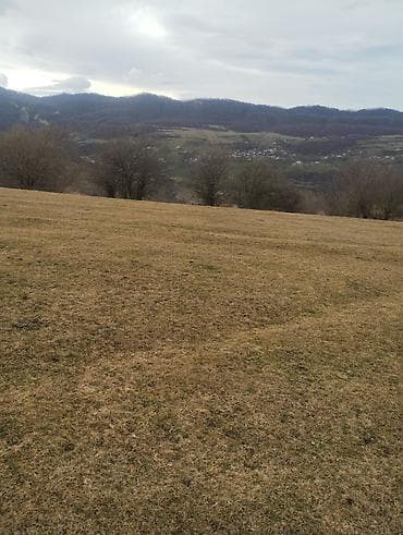 turkanda heyet evleri 2020: Kənd təsərrüfatı — 4