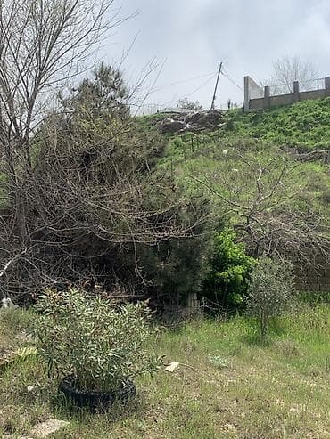 binədə torpaq: 6 sot, Tikinti, Barter mümkündür, Kupça (Çıxarış) — 10