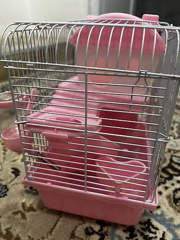 Yataqlar: 1 ədəd ana hamster 3 ədəd bala hamster 2 kletka biri böyük biri — 4