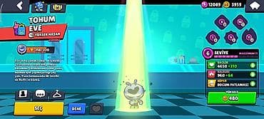 sep sekilleri: Şarm — 2