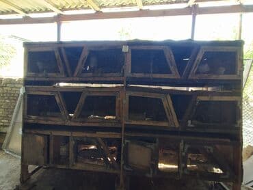 iran qefesi: Dovsan qefesi — 1