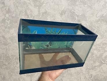 akvarium altligi: Dördbucaq akvarium, Boş, 6 l, Ünvandan götürmə — 2