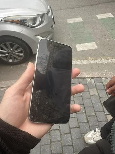 IPhone 12 Pro, Gümüşü