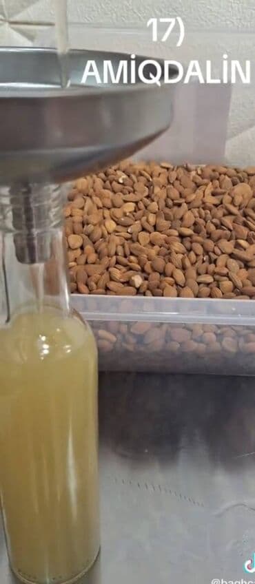 ƏRİK YAĞI B17 vitamini ilə zəngindir, Onkoloji xesdeliklerde isdifade