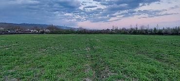 kiraye hovuzlu evler: 200 sot, Kənd təsərrüfatı — 5