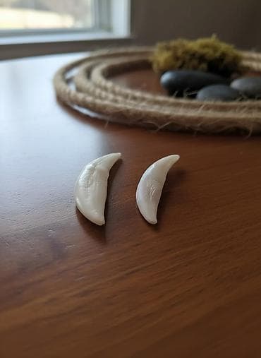 jenşen bitkisini harada tapmag olar: Kulon, Qaşsız — 1