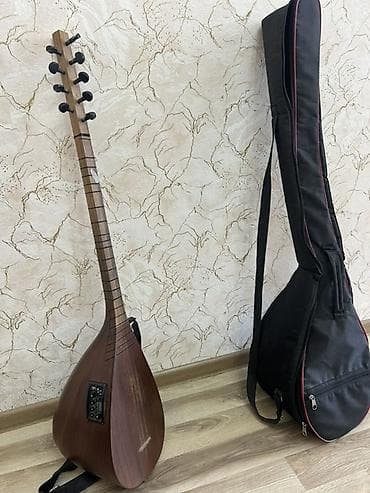 Elektrik saz (elektro-saz) – çanta ilə Sazbənd Usta Rizvanın — 1
