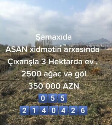 sulutəpə çiçək qəsəbəsi: Biznes üçün, Mülkiyyətçi, Kupça (Çıxarış) — 4