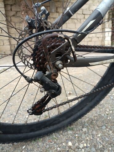 купить горный велосипед недорого: Dağ velosipedi – hardtail - Geniş profilli təkərlər: kobud yol və — 4