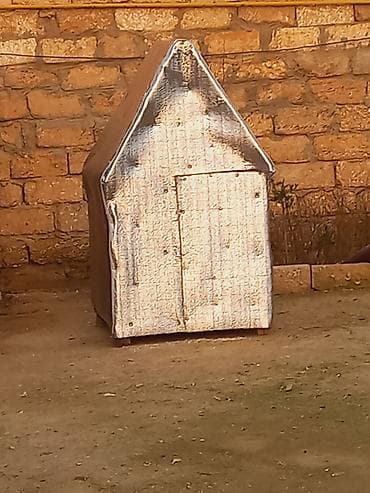 it alqi satqisi: Salam teze yiglib istiyen olsa unvan bine savxoz — 2