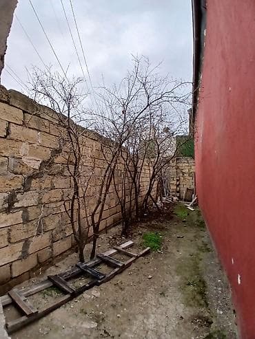 ev meymunlari: 3 otaqlı, 100 kv. m — 2