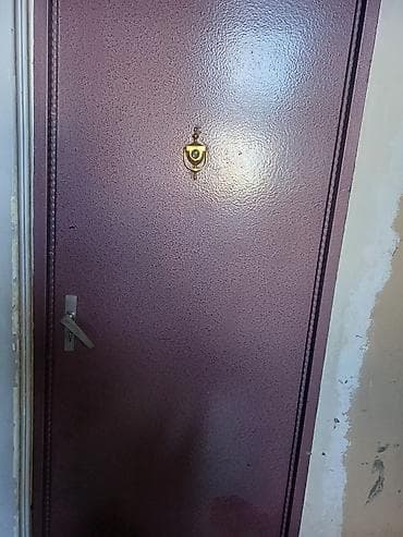 zal qapıları: Metal giriş qapısı - Material: möhkəm metal konstruksiya, zərbə və — 1