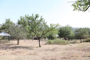 продажа недвижимости в баку: 2000 sot, Tikinti, Mülkiyyətçi, Kupça (Çıxarış), Bələdiyyə — 21