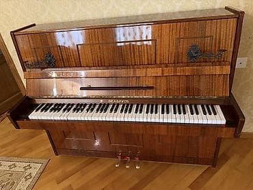 Книги и журналы: Пианино, Беларусь, Акустический — 7