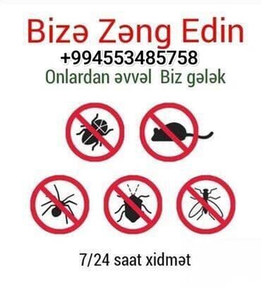 чистка мебели на дому: Дезинфекция, дезинсекция | Клопы | Офисы — 4