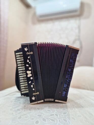 Пианино: Акустический Аккордеон — 2