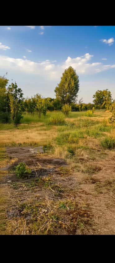 hökməli kirayə evlər: 18 sot, Biznes üçün, Mülkiyyətçi, Kupça (Çıxarış), Texniki pasport — 1