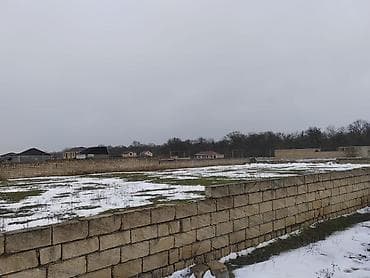 bakida tikis fabrikalari: 24 sot, Tikinti — 2