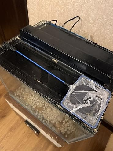 nemo baliq: Dördbucaq akvarium, Boş, 42 l — 5