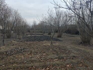 kirayə evler azadliq: Kənd təsərrüfatı — 2