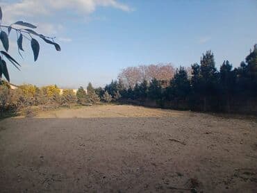 dübəndi torpaq: 15 sot, Biznes üçün, Makler, Kupça (Çıxarış) — 4