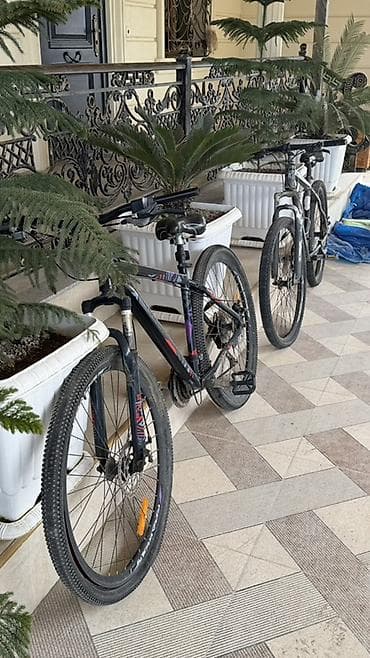 dağ velosipedləri 29: İki ədəd dağ velosipedi 300 azn deyirım real alıcıya endirim olacaq 1 — 3