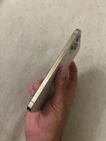 ilkin odenissiz iphone: IPhone 12 Pro Max — 5